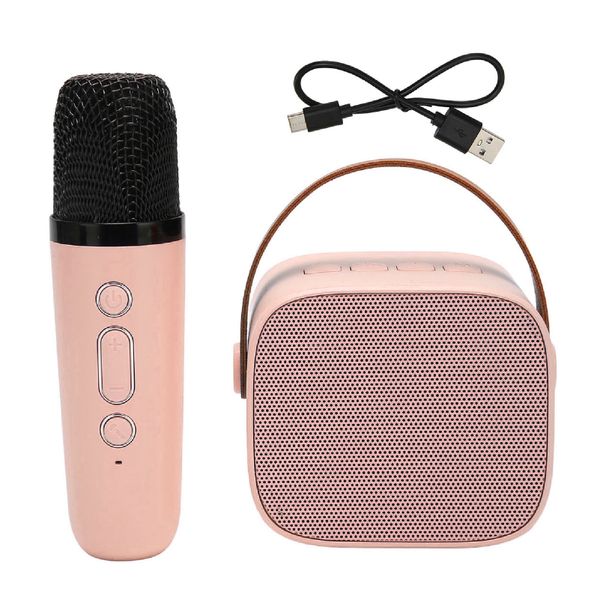 Mini Karaoke Machine Set Support Bluetooth AUX USB Memory Card PortablePink
