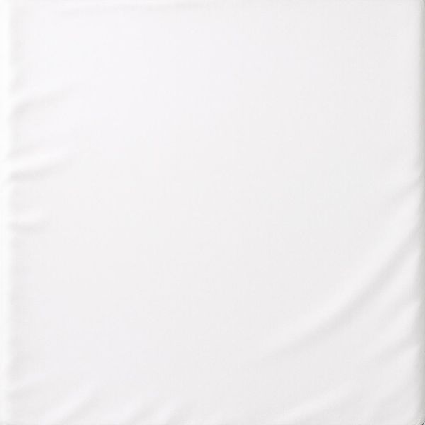 SIR Online 600 Thread Count Egyptian Cotton Flat Sheet