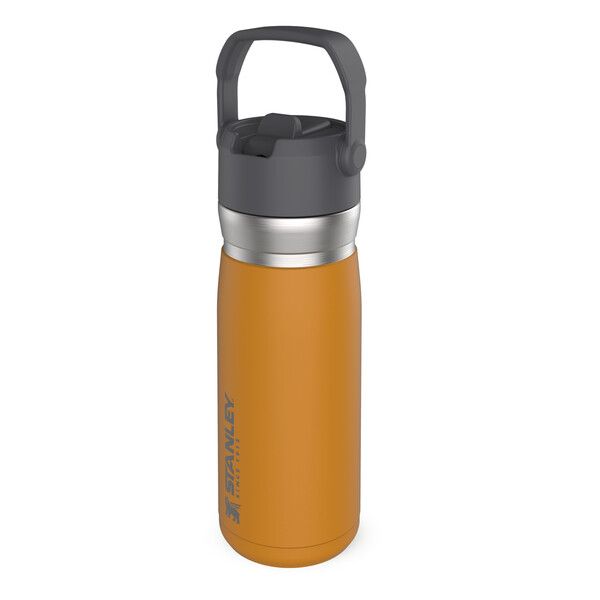 Stanley - IceFlow Flip Straw Water Bottle .65L - Polar | Shop Today ...