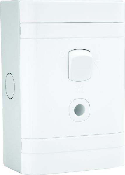 LESCO, 25A 2 Pole 4x2 Surface Mount Geyser with Cord Grip Isolator