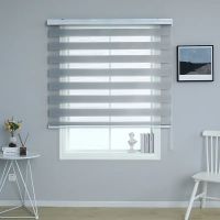 Quality Roller Zebra Blinds Dual Layer, Day Night Blinds for Windows - Grey