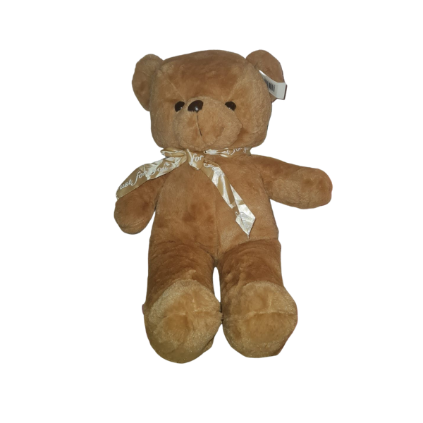 XL 60cm Plush Just for you Teddy Bear Gift