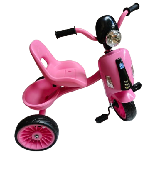 3 Wheeler Bicycle