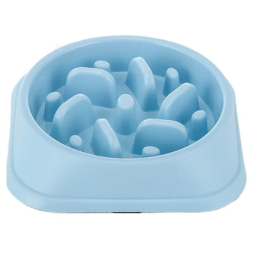 Slow Feeding Pastel Dog Bowl | Shop Today. Get it Tomorrow! | takealot.com