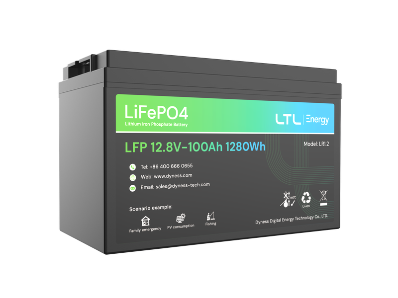 Dyness 12.8V 100ah LifeP04 Battery