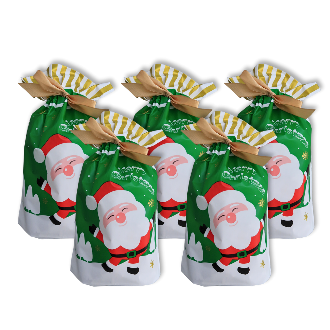 5pcs Christmas Gift Bags with Gold Drawstring Green Merry Christmas