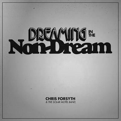 Dreaming in the Non-dream (Vinyl / 12" Album)