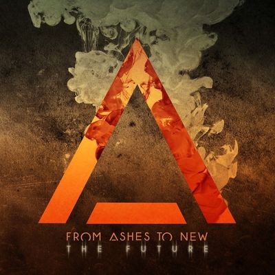 The Future (Vinyl / 12" Album)