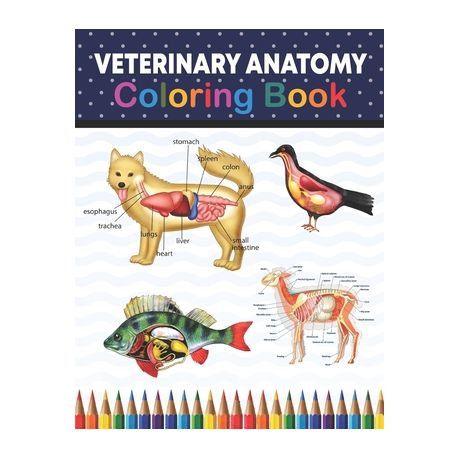 Veterinary Anatomy Coloring Book: Animal Anatomy and Veterinary Physiology Coloring  Book. The New Surprising Magnificent Learning Structure For Veteri | Buy  Online in South Africa 