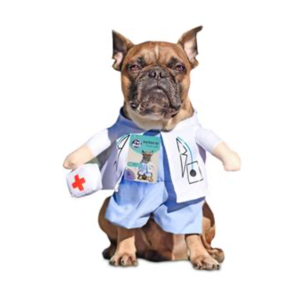 Dog Novelty clothing - Doctor outfit