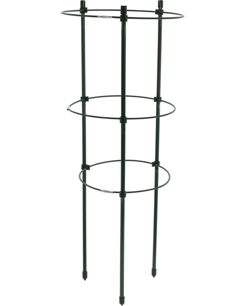 Plant Supports - 60 x 21 cm