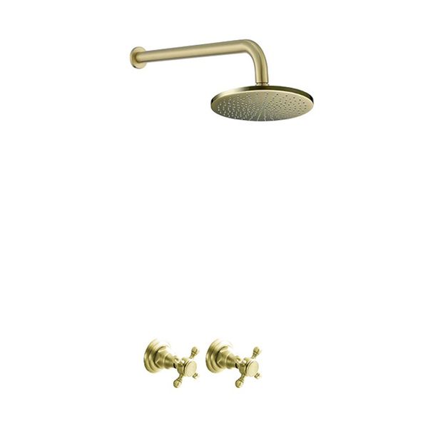Trendy Taps Premium Quality Brushed Gold Shower Set with Antique Handles