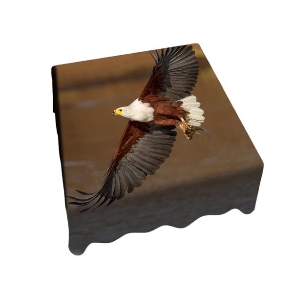 African Fish Eagle Visarend Flyby Square Tablecloth By Fanie Heymans