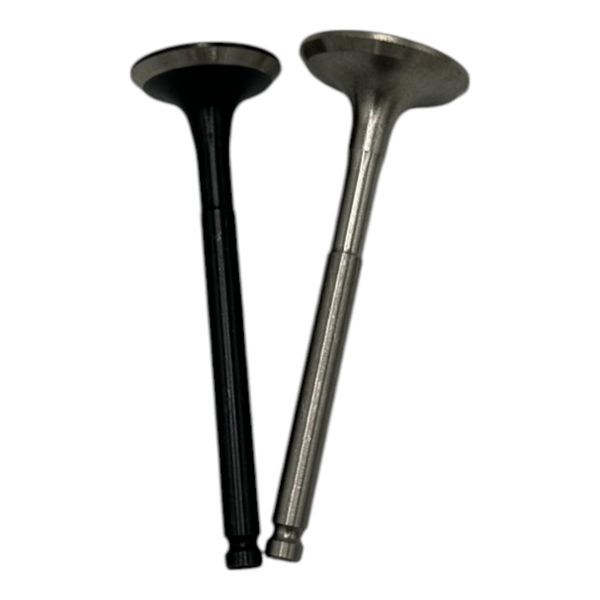 Hero Eco 150 Valve Kit