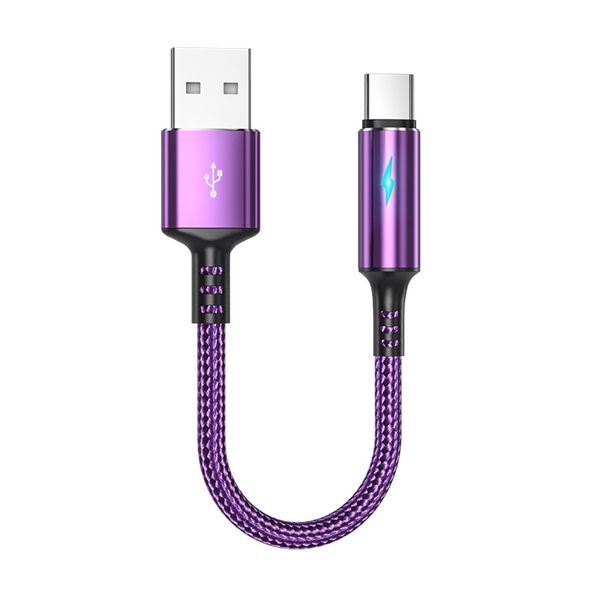 Compact Type-C Cord Compatible with Type-C Phones and Power Banks