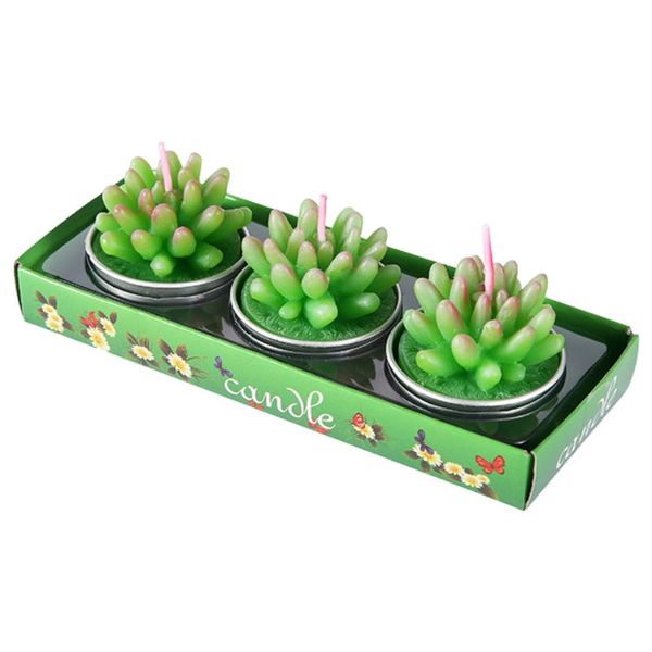 iKids Succulent Plant Candle Set | Jelly Bean