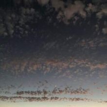 Found Objects (CD / Album)