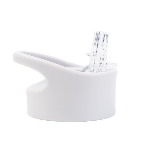 Lizzard Flask Straw Lid