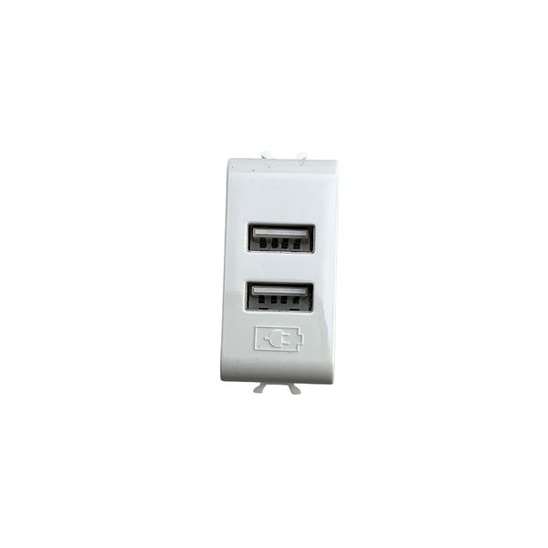 Gewiss - USB Dual-Port Charger Module (5 V DC, 2.1 A)