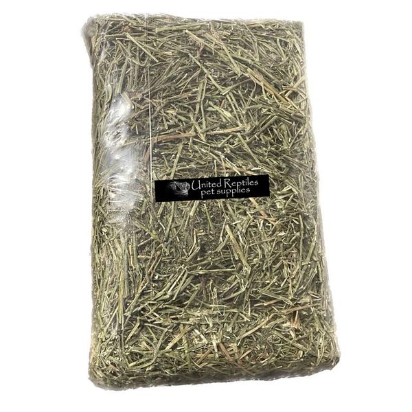Lucerne Grass for Bunnies and Chinchillas and Rabbits