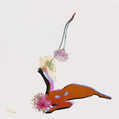 The Far Field (Vinyl / 12" Album)