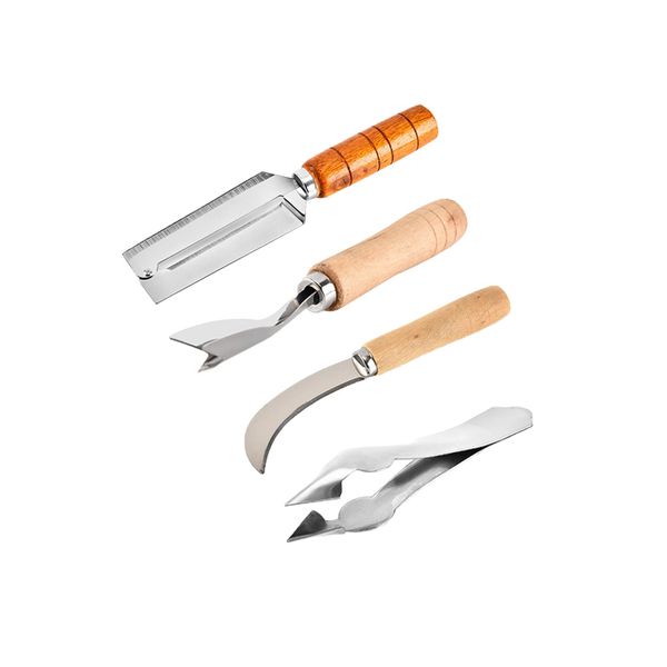 Pineapple Knife - Peel Knife to Remove Seed Clip - Stainless Steel - Set of 4