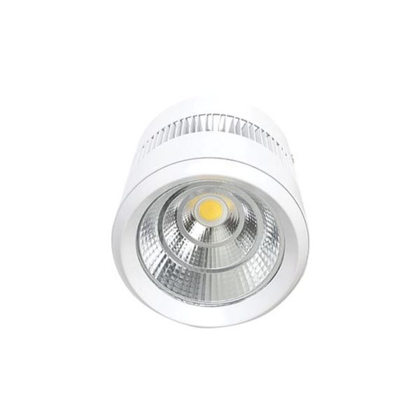 ACDC - 100-240vac 30w, Cool White, White Led Surface Mount (ø149x16)