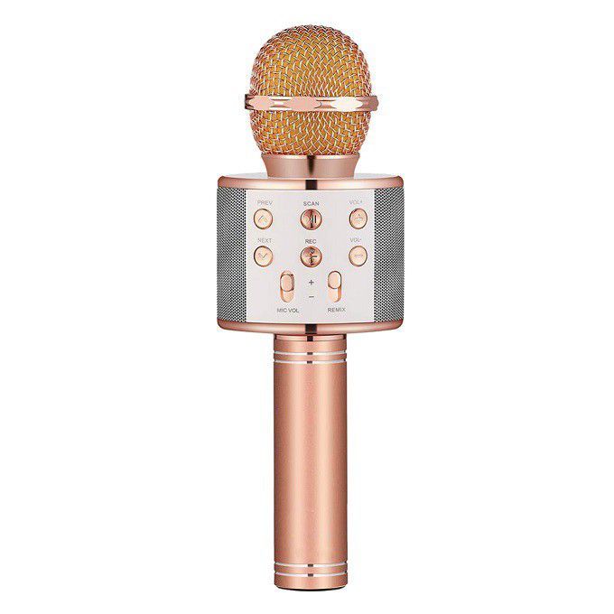 Wireless Portable Bluetooth Karaoke Microphone | Buy Online in South ...