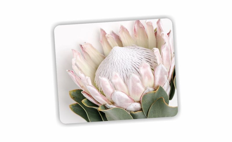 Pink Protea Flower Mouse Pad