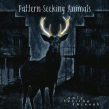 Only Passing Through (Vinyl / 12" Album with CD)