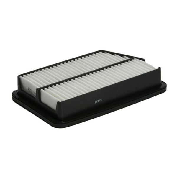 Air Filter - AG1013 (GUD)