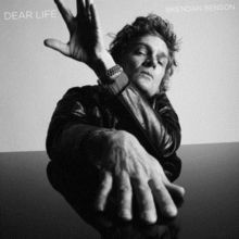Dear Life (CD / Album)