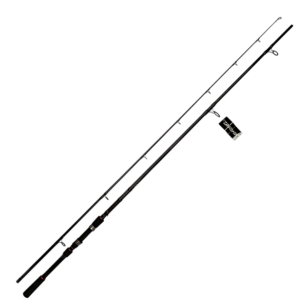 Daiwa Fishing Rod Laguna LAG1002HFS-AZ