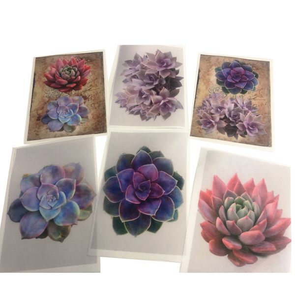 Decoupage Tear Resistant Transfers - Single Succulents