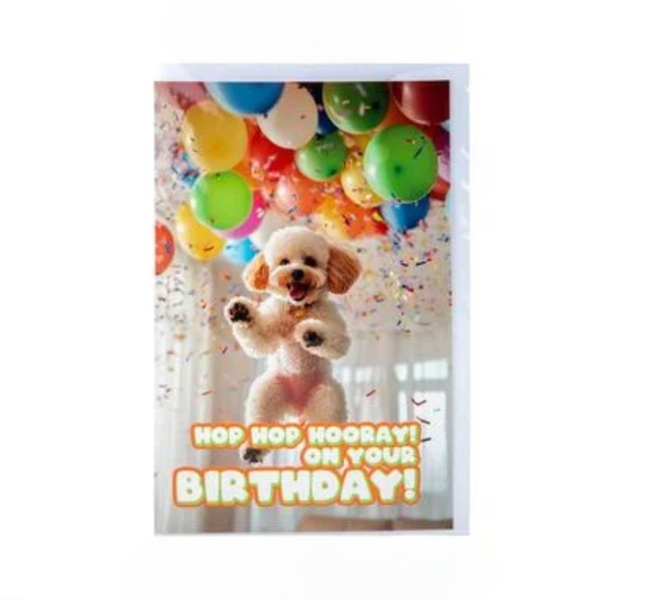 Snarky Greetings with Matching Envelopes
