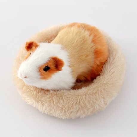 Guinea pig soft sales bed