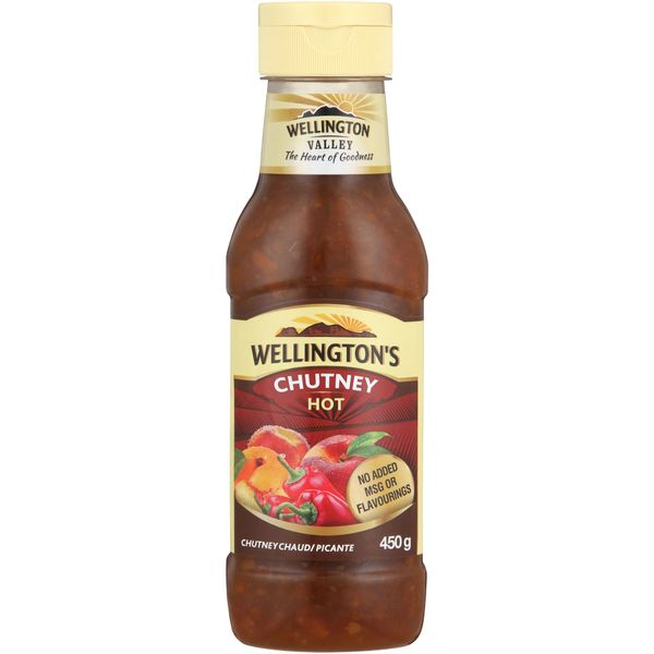 Wellington's Chutney Hot 450g