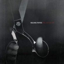 The Light Below (CD / Album)