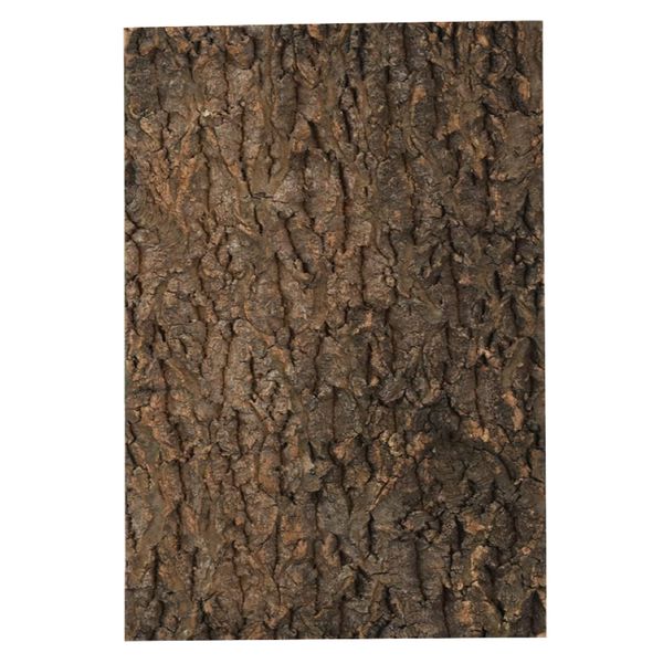 Decor Garden Multi Use Natural Dried Tree Bark Wall Panel (50CM)
