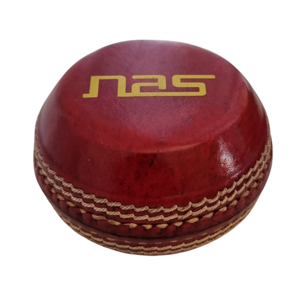 NAS logo
