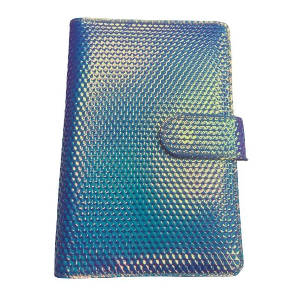 Budget Binder/Budget planner A6 with Accessories
