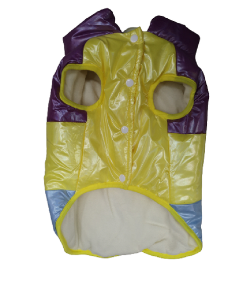 Winter Dog Cat, Rainbow Bomber Jacket – Two Legged