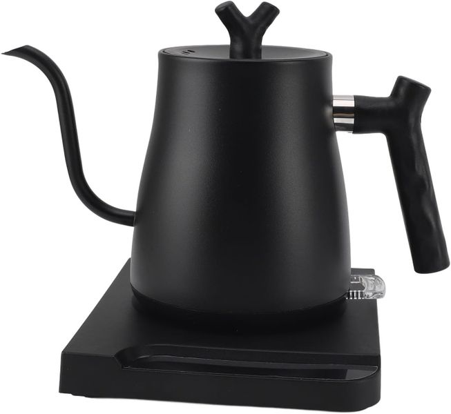 1.0L Electric Kettle - Stainless Steel Gooseneck