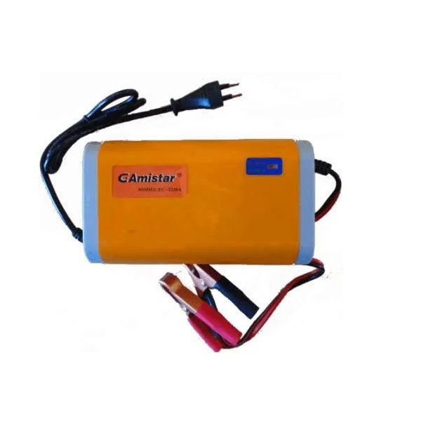 12V 20A Intelligent Pulse Charger - IT-2044