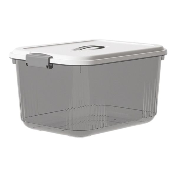 High Quality Portable Storage Box With Lid - Transparent/White
