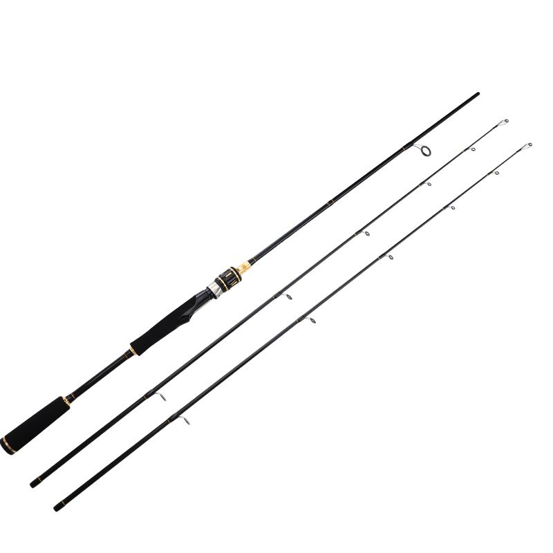 Bass Rod, 2 Section, 2 Tips Shop Today. Get it Tomorrow!