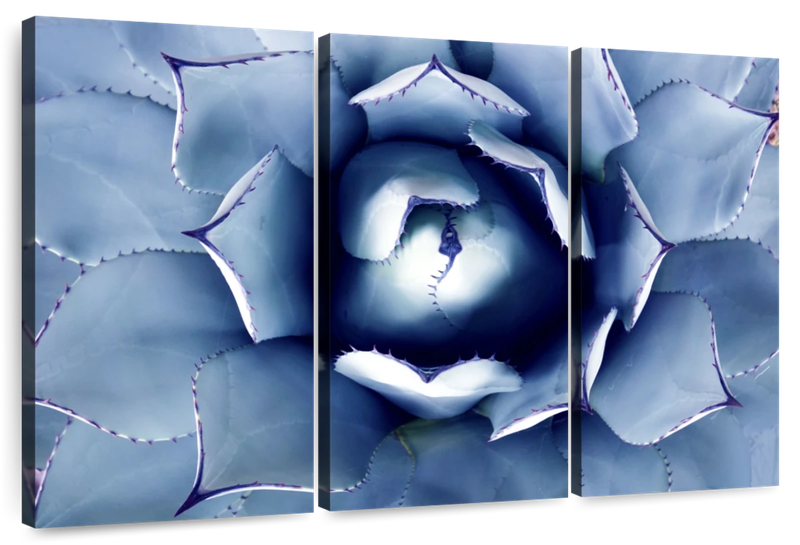 Canvas Art - Blue Agave Bloom 3 Piece Canvas Wall Art Living Bedroom Decor
