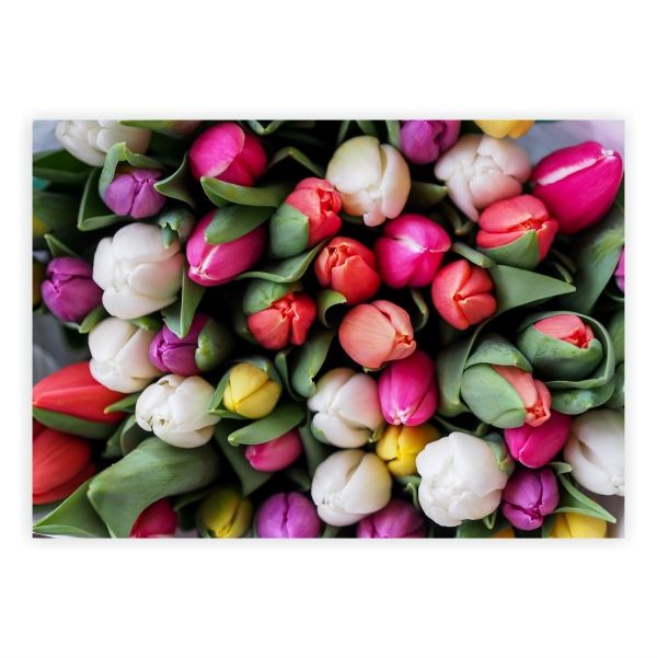 Tulip Bouquet A1 Poster Buy Online in South Africa
