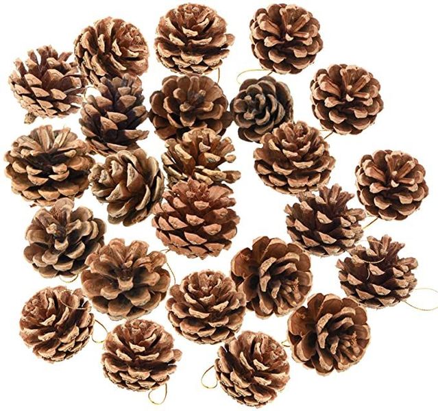 Classic Bulk Package of Natural Pinecones-24 Pack