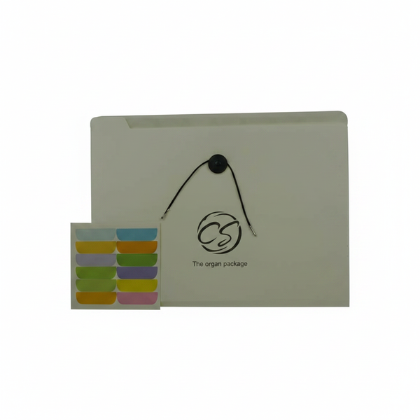 Brainware 8 Compartment A4 Expanding File Organiser